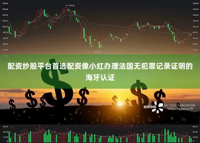 配资炒股平台首选配资像小红办理法国无犯罪记录证明的海牙认证