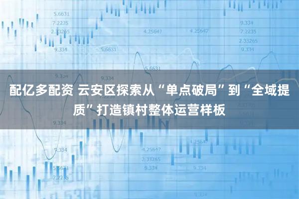 配亿多配资 云安区探索从“单点破局”到“全域提质”打造镇村整体运营样板